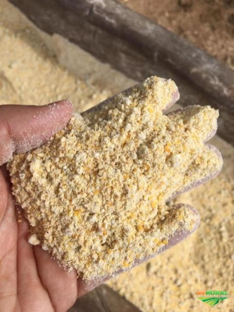 Nutrição animal Imagem Nutrição animal