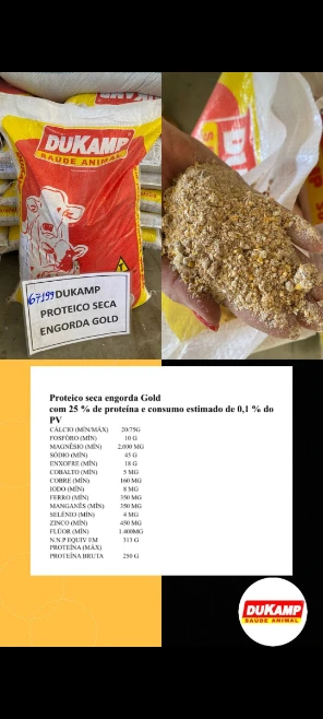 Nutrição animal