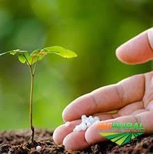 Imagem Varreduras Imagem Varreduras