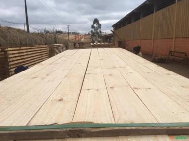 Madeira de Pinus Bruta Verde Imagem Madeira de Pinus Bruta Verde