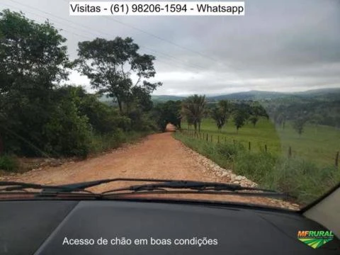 Fazenda Ideal P/eventos Porteira Fechada 48 Hectares Reserva Preservada Barata!