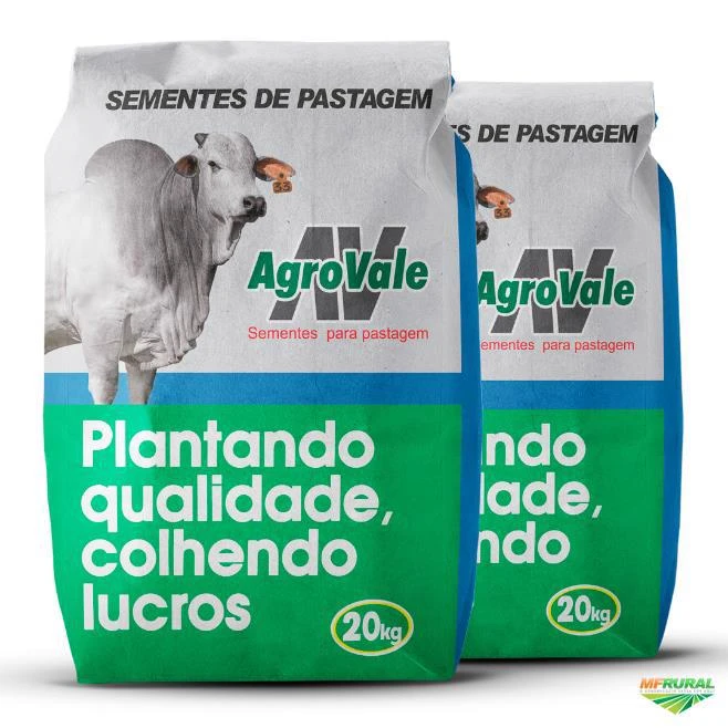 Semente De Pastagem Agrovale - Brachiaria Brizantha Marandú