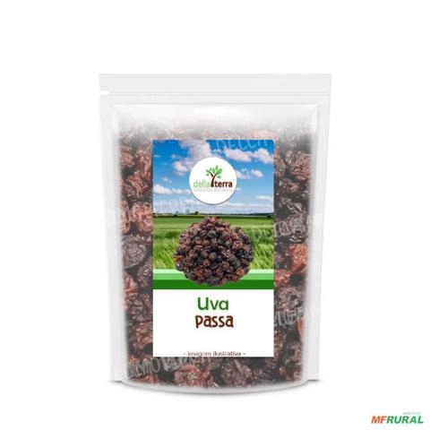 Uva Passa Preta Sem Semente Argentina Atacado Imagem Uva Passa Preta Sem Semente Argentina Atacado