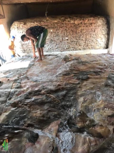 Compro couro salgado Imagem Compro couro salgado