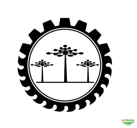 Pinheiro Araucária Licenciado / Toras e Serrado Imagem Pinheiro Araucária Licenciado / Toras e Serrado