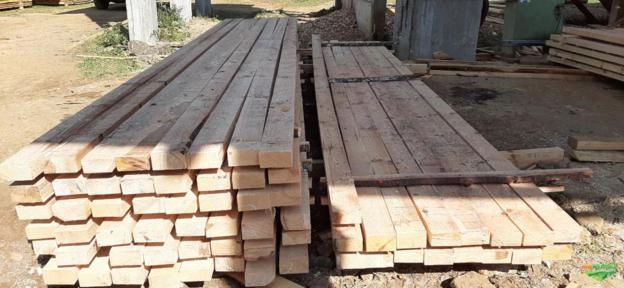 Imagem Pinheiro Araucária Licenciado / Toras e Serrado Imagem Pinheiro Araucária Licenciado / Toras e Serrado