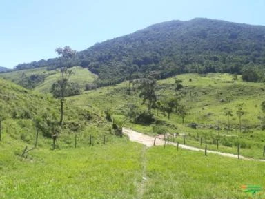 Fazenda em Macaé - RJ. 365 hectares. 75% de mata