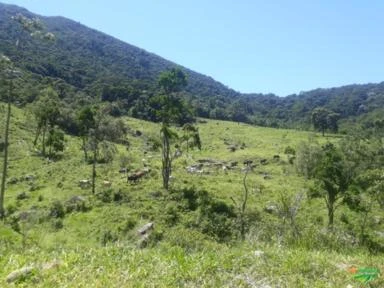 Fazenda em Macaé - RJ. 365 hectares. 75% de mata