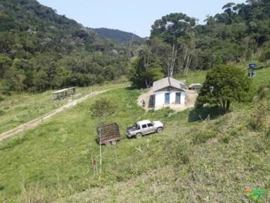 Fazenda em Macaé - RJ. 365 hectares. 75% de mata