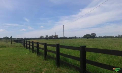 Fazenda em Poconé-MT com 15 mil hectares pra Gado