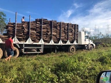 Compro Lenha Imagem Compro Lenha