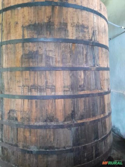 Tonel Tonel de Madeira Castanheira Para Envelhecimento de Cachaça Com 735511