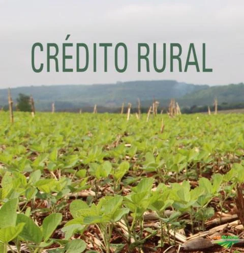 Crédito Rural com Capital de giro facilitado