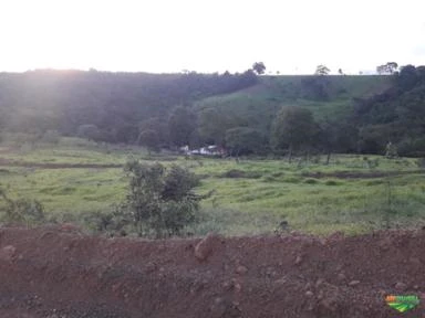 FAZENDA EM LUZIÂNIA GO