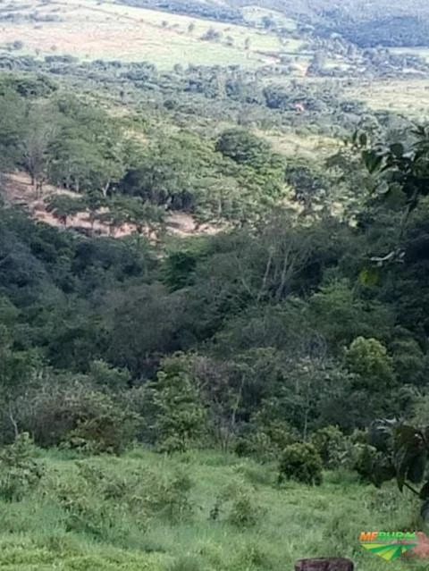 FAZENDA EM LUZIÂNIA GO