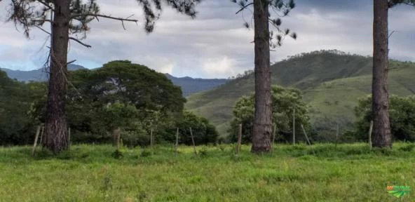 FAZENDA EM ALTO PARAÍSO DE GOIAS