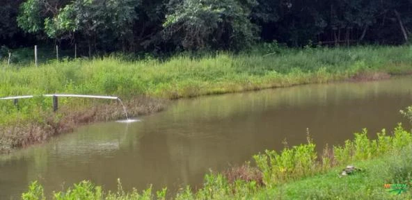 FAZENDA EM ALTO PARAÍSO DE GOIAS