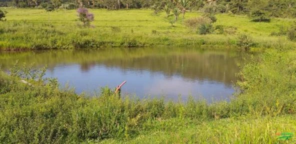 FAZENDA EM ALTO PARAÍSO DE GOIAS