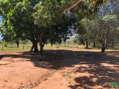 FAZENDA EM TERESINA DE GOIAS