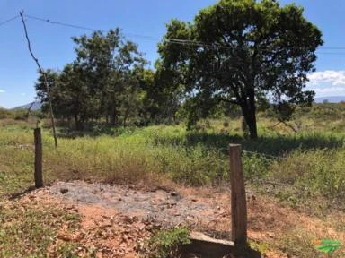 FAZENDA EM TERESINA DE GOIAS