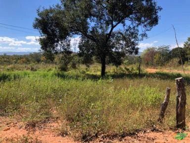 FAZENDA EM TERESINA DE GOIAS