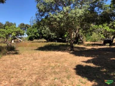 FAZENDA EM TERESINA DE GOIAS