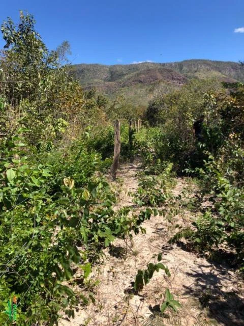 FAZENDA EM TERESINA DE GOIAS