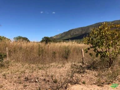 FAZENDA EM TERESINA DE GOIAS