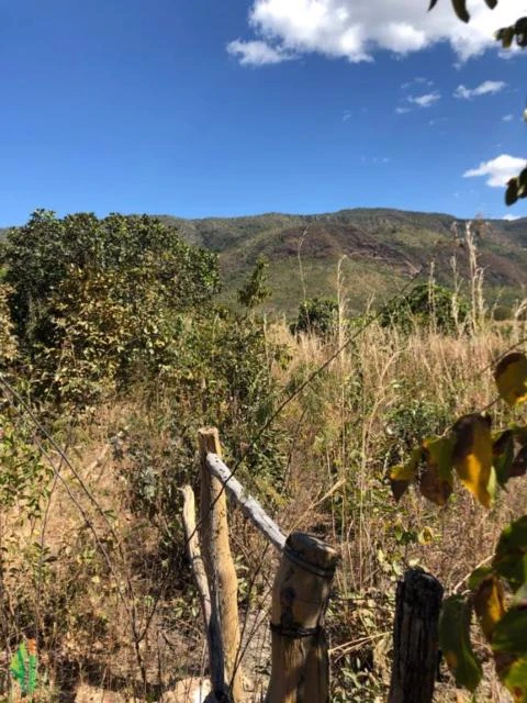 FAZENDA EM TERESINA DE GOIAS