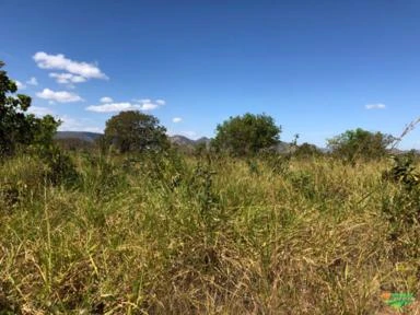 FAZENDA EM TERESINA DE GOIAS