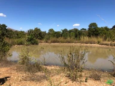 FAZENDA EM TERESINA DE GOIAS