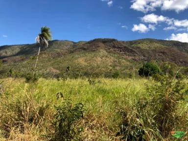 FAZENDA EM TERESINA DE GOIAS