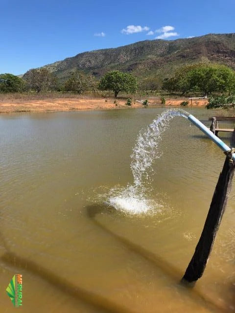 FAZENDA EM TERESINA DE GOIAS