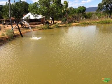 FAZENDA EM TERESINA DE GOIAS