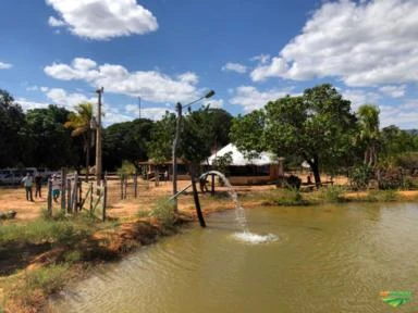 FAZENDA EM TERESINA DE GOIAS