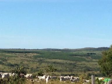Fazenda em Sitio Dabadia-GO 1200 hectares