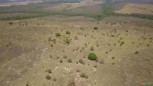 Fazenda para Soja ou Gado a venda em São Sebastião - DF Brasília - DF