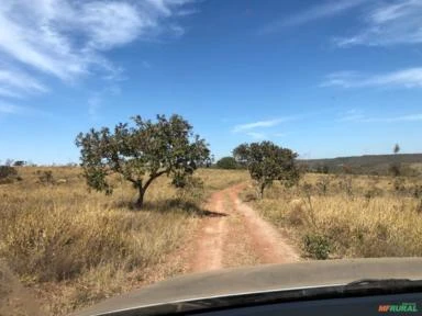 Fazenda para Soja ou Gado a venda em São Sebastião - DF Brasília - DF