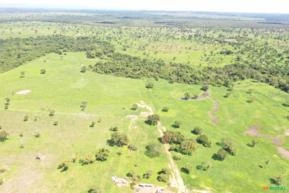 Fazenda para Soja ou Gado a venda em Posse - GO