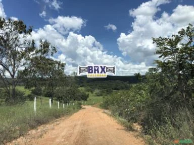 FAZENDA PARA GADO A VENDA EM LUZIÂNIA-GO