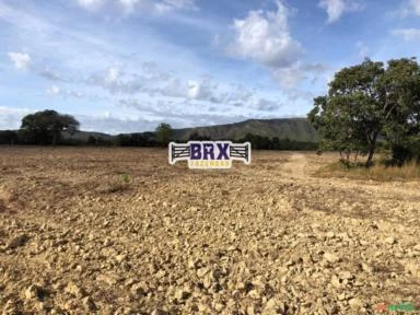 Fazenda para Soja, Gado Ou Piscicultura A Venda em Buritis - Mg