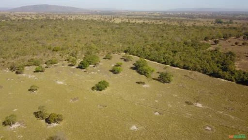 Fazenda para Soja, Gado Ou Piscicultura A Venda em Buritis - Mg