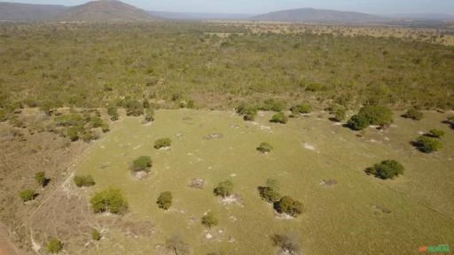 Fazenda para Soja, Gado Ou Piscicultura A Venda em Buritis - Mg