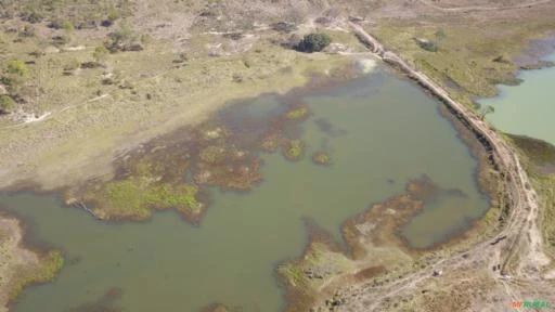 Fazenda para Soja, Gado Ou Piscicultura A Venda em Buritis - Mg