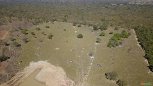 Fazenda para Soja, Gado Ou Piscicultura A Venda em Buritis - Mg