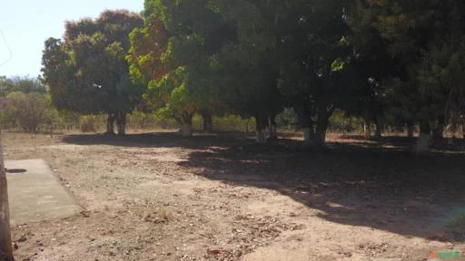 Fazenda para Soja, Gado Ou Piscicultura A Venda em Buritis - Mg