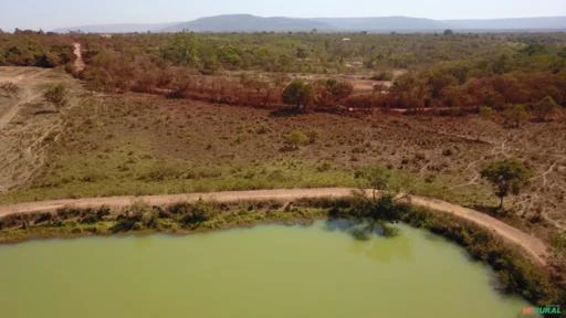 Fazenda para Soja, Gado Ou Piscicultura A Venda em Buritis - Mg