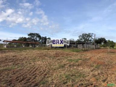 Fazenda para Soja, Gado Ou Piscicultura A Venda em Buritis - Mg