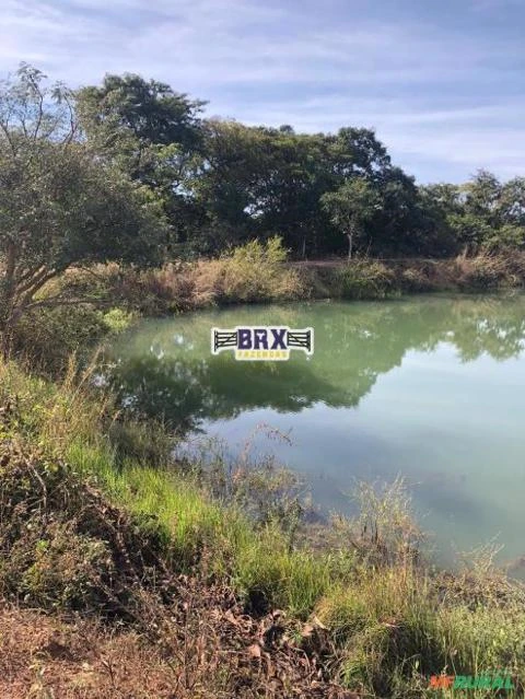 Fazenda para Soja, Gado Ou Piscicultura A Venda em Buritis - Mg