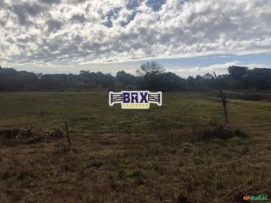 Fazenda para Soja, Gado Ou Piscicultura A Venda em Buritis - Mg